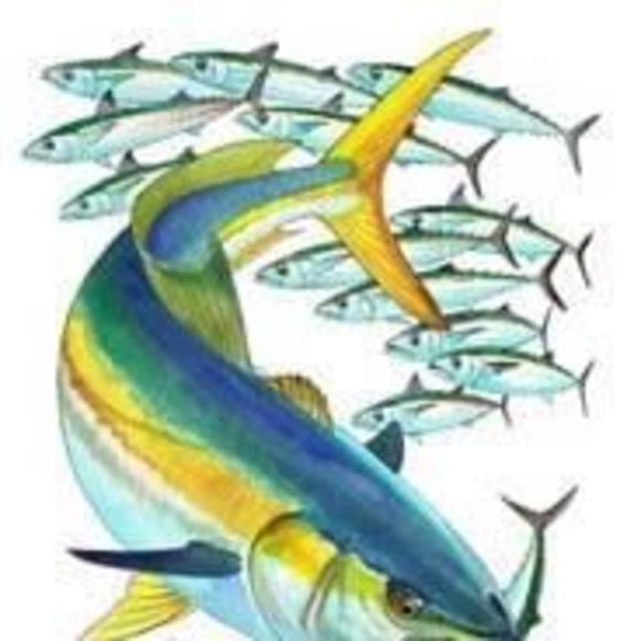 bigbfishing